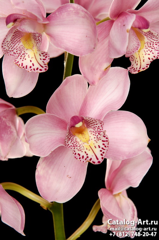 картинки для фотопечати на потолках, идеи, фото, образцы - Потолки с фотопечатью - Розовые орхидеи 57